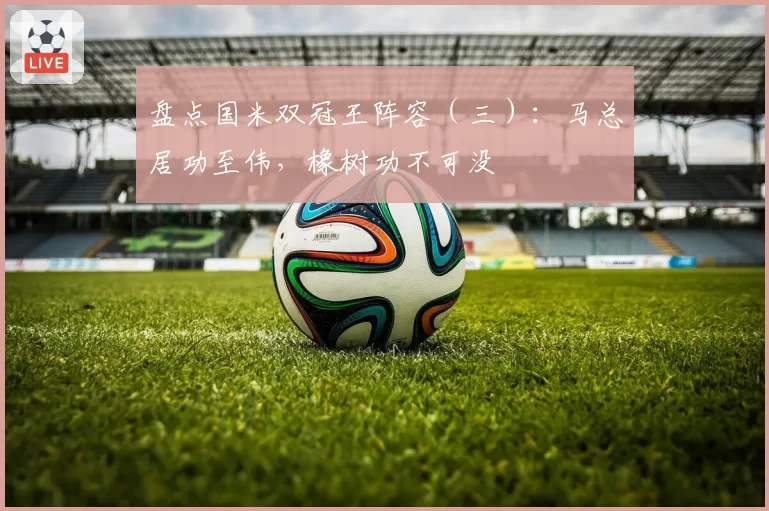 盘点国米双冠王阵容(三):马总居功至伟,橡树功不可没