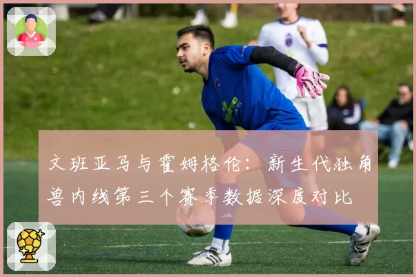 文班亚马与霍姆格伦:新生代独角兽内线第三个赛季数据深度对比