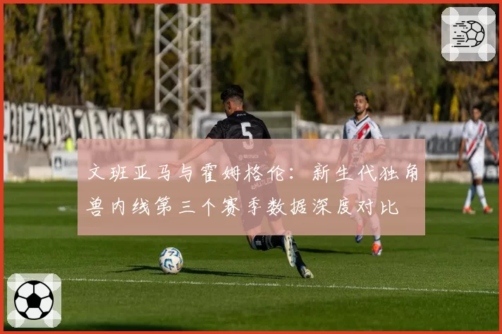 文班亚马与霍姆格伦:新生代独角兽内线第三个赛季数据深度对比